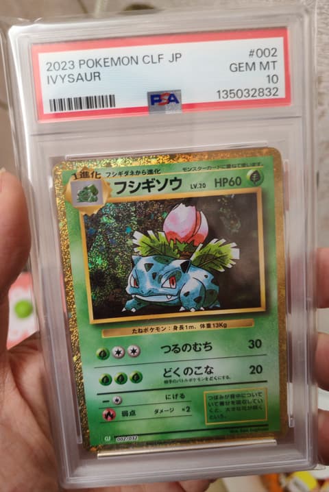妙娃草psa10